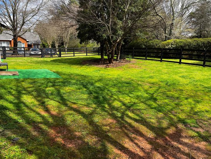 Marietta Pet Boarding Dog Boarding